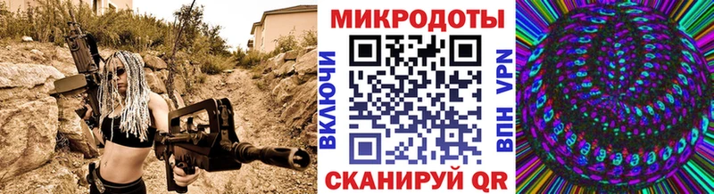 как найти закладки  Курчалой  Псилоцибиновые грибы GOLDEN TEACHER 